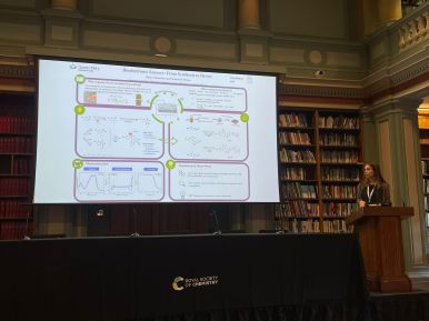 WhatsApp Image 2023-11-06 at 13.34.37